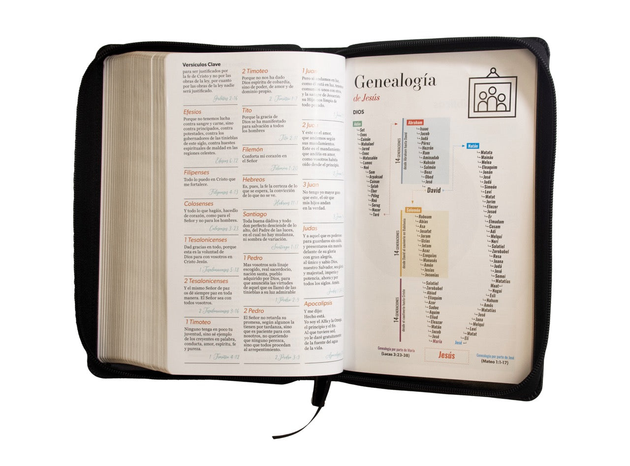 Biblia RVR60 Tamaño Manual Letra Grande imitación/piel Negro con cierre