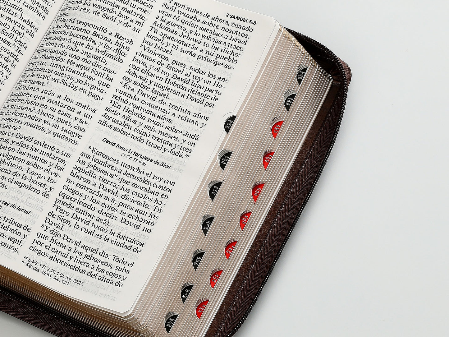 Biblia RVR60 Tamaño manual/letra Gigante i/piel café/café/café con cierre e índice