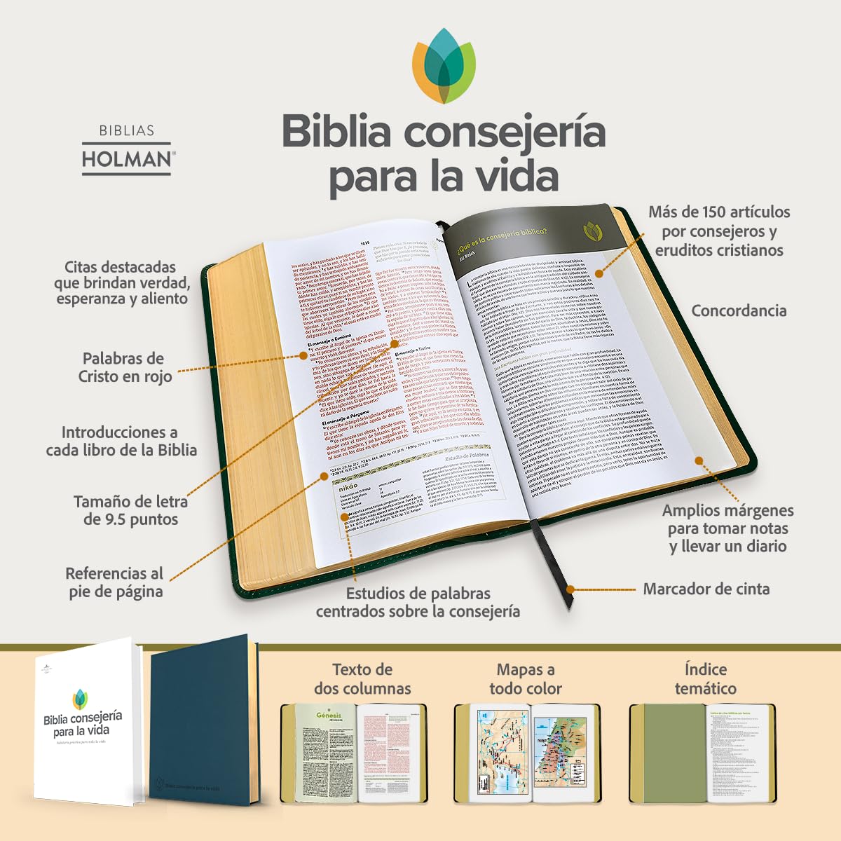 RVR 1960 Biblia consejería para la vida, tapa dura