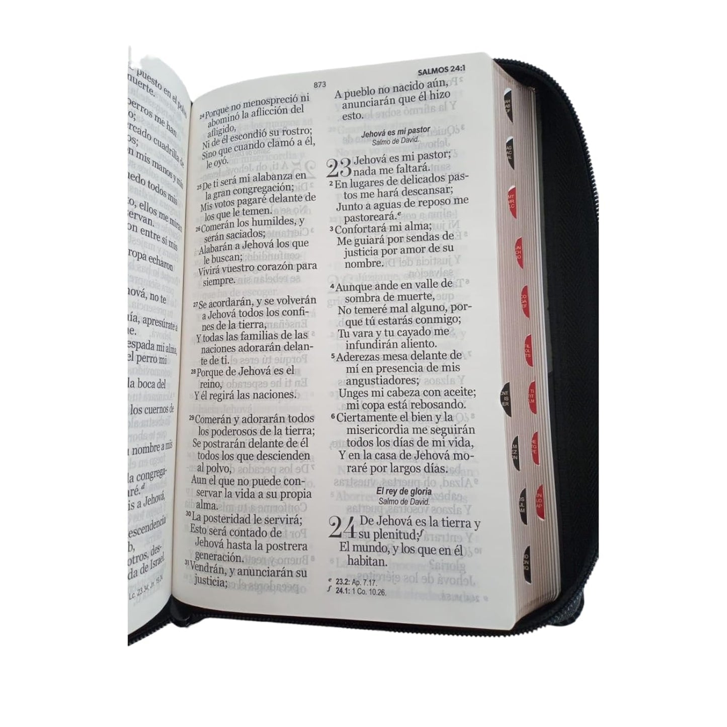 Biblia RV60 con cierre e indice