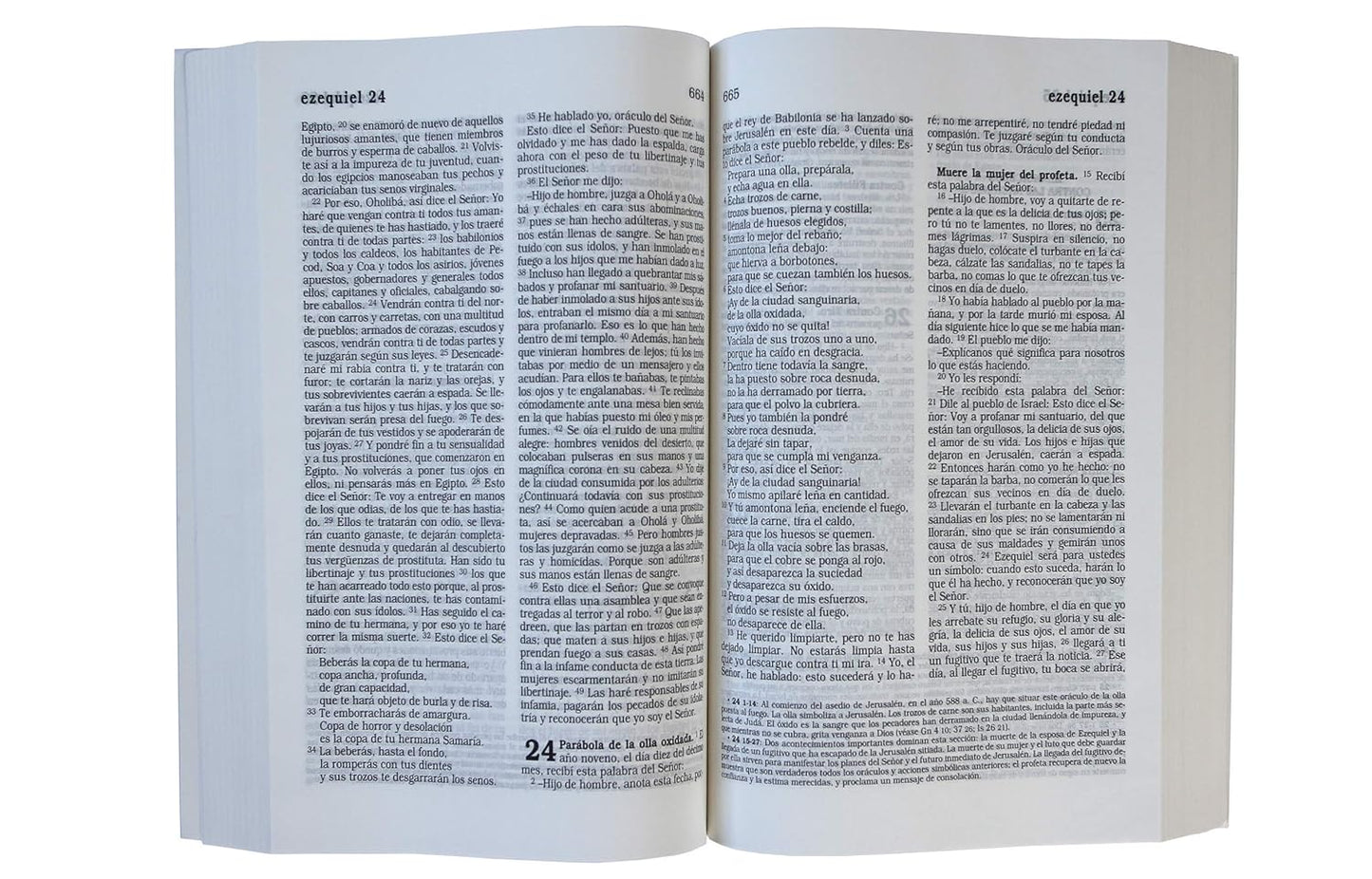 La Biblia Católica: Tapa blanda, tamaño grande, letra grande. Rústica, roja - Tapa blanda