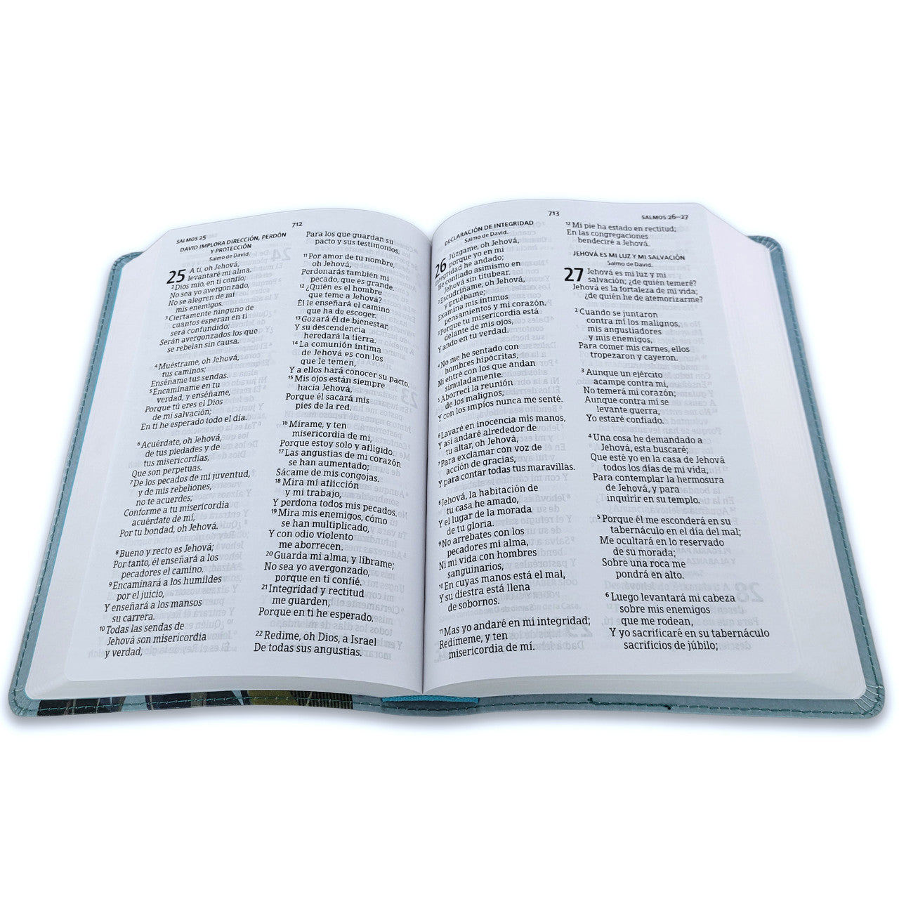 RVR 1960 Biblia letra grande tamaño manual edición especial, multicolor, símil piel