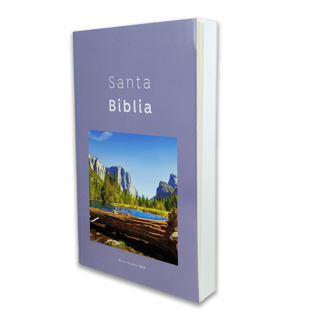 Biblia RVR60 Tamaño Manual - ECO paperback