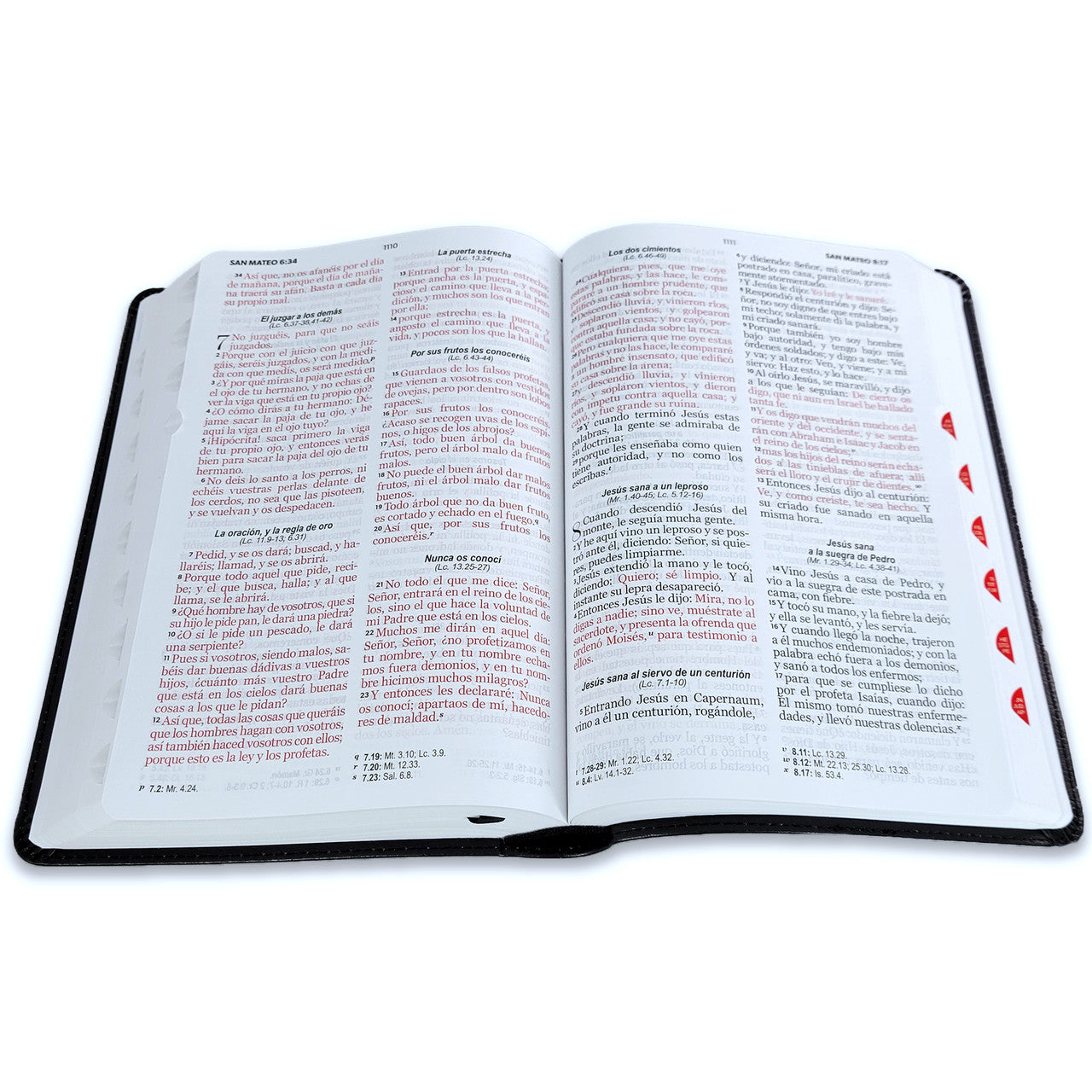 Biblia Letra Grande 12 puntos RV1960 imit piel negro cordero y león con índice