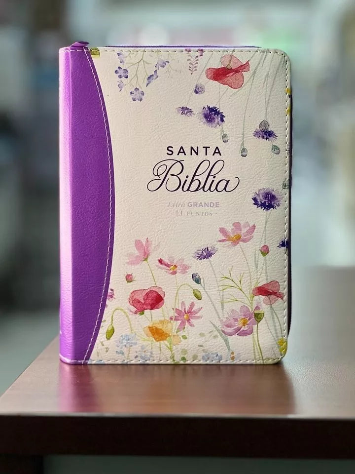 Biblia Reina Valera 1960 tamaño portátil Letra Grande 11 puntos Imitación Piel. Con cierre.