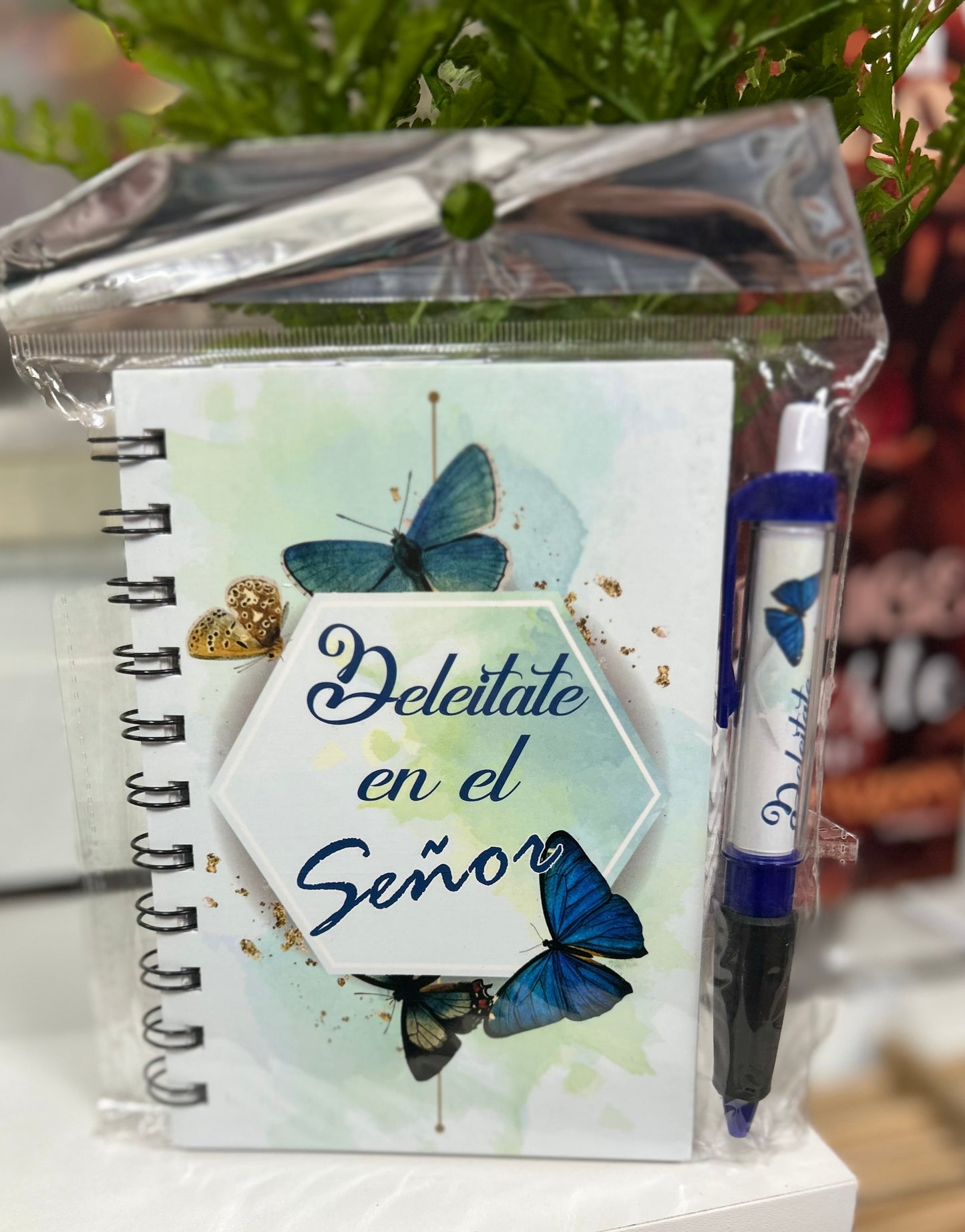 Libretas con bolígrafo (Variedad)