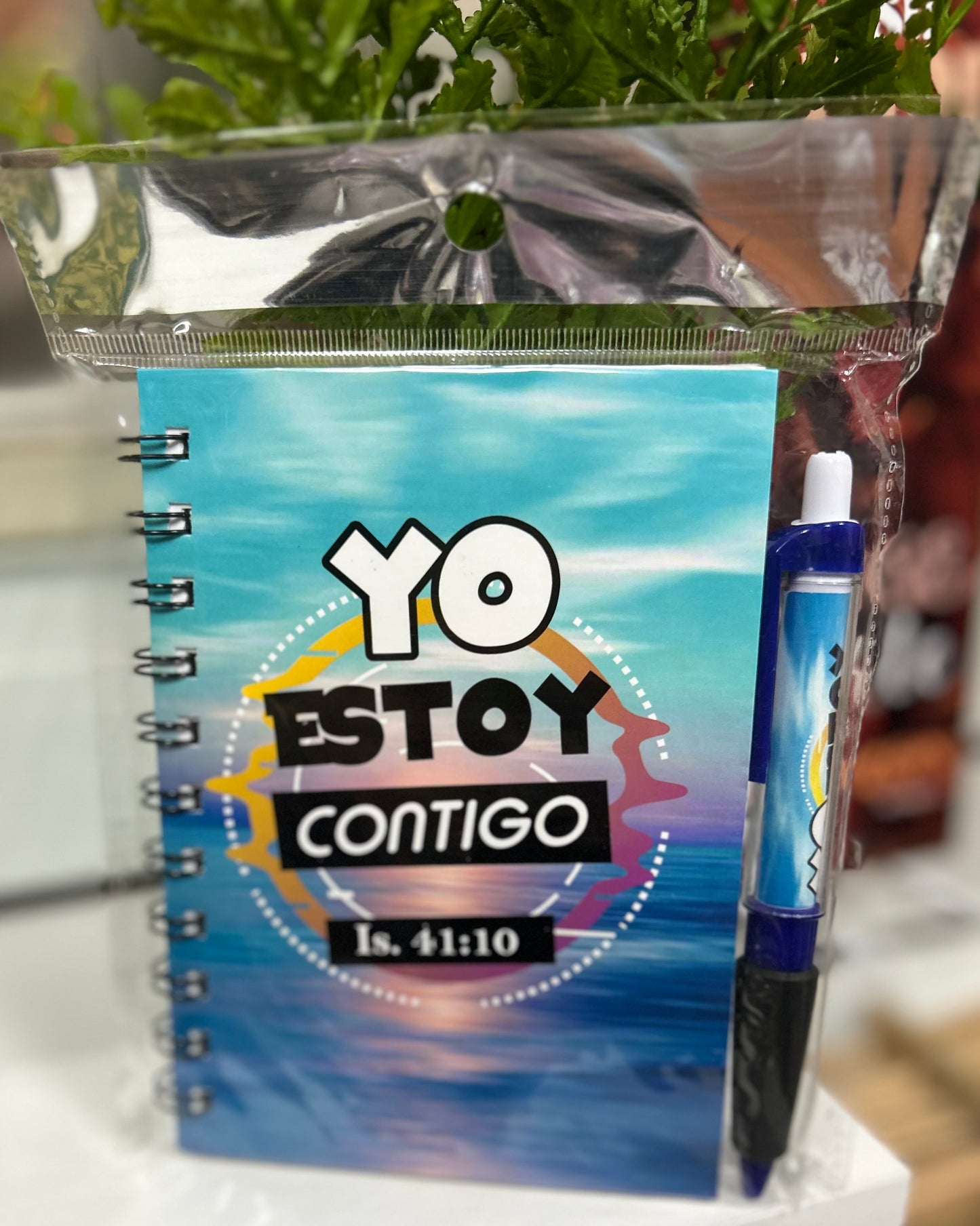 Libretas con bolígrafo (Variedad)