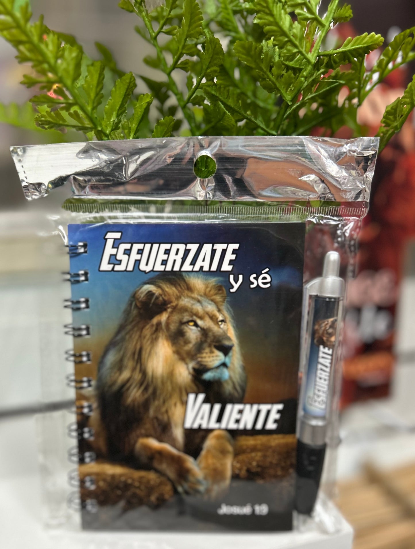 Libretas con bolígrafo (Variedad)