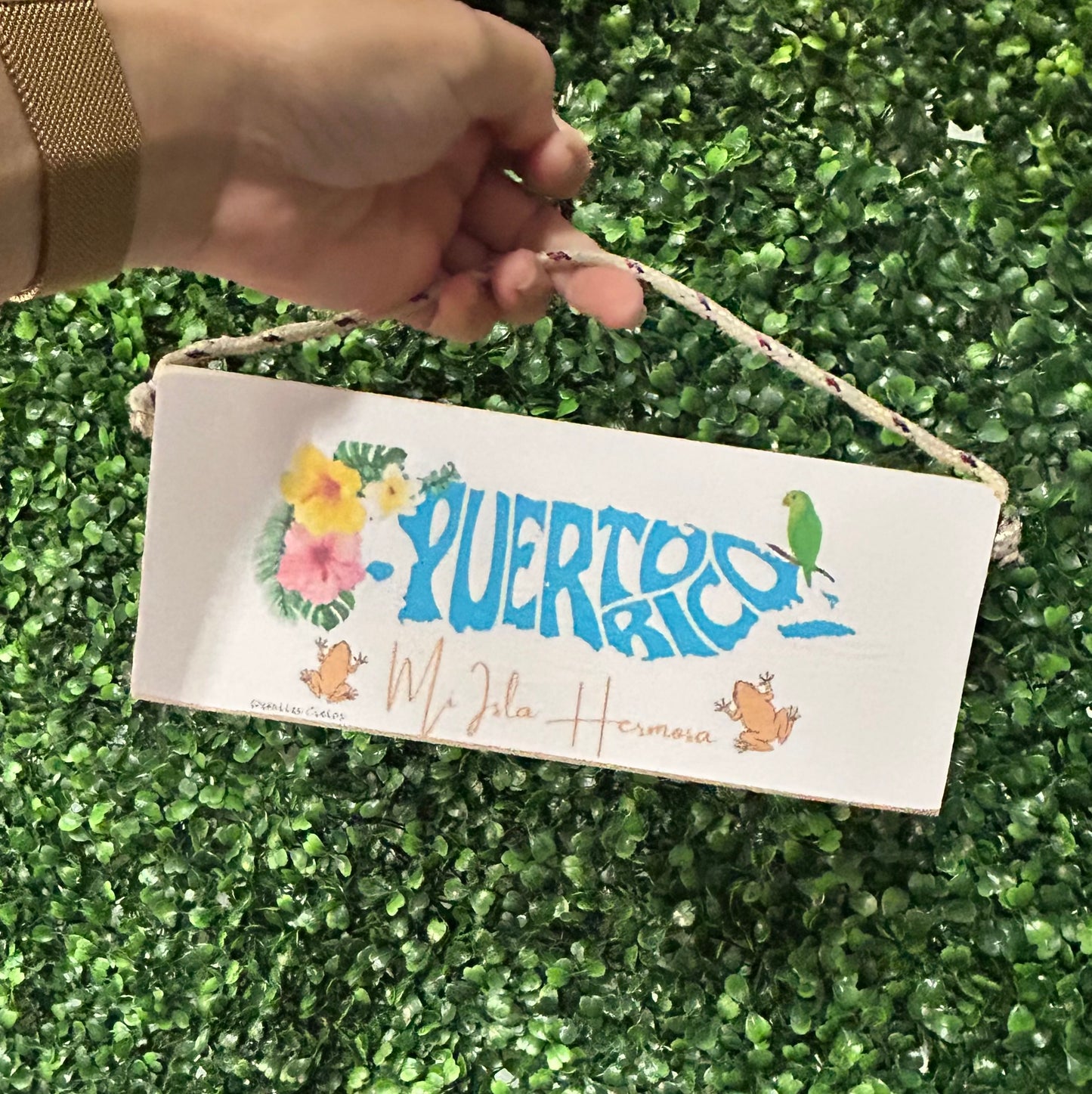Placa 9" madera (variedad)