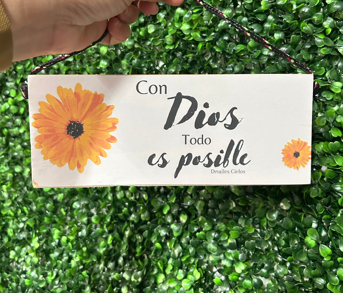 Placa 9" madera (variedad)