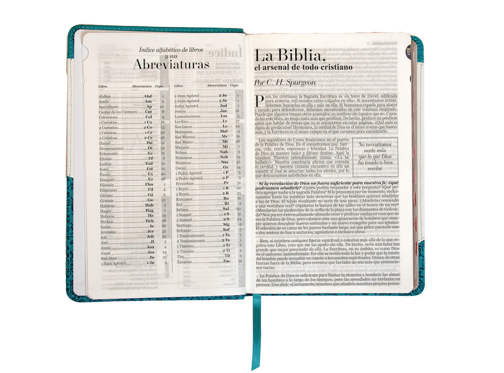 Biblia RVR60 Tamaño Manual Letra Grande i/piel TURQUESA/BLANCO con índice -Tapa blanda