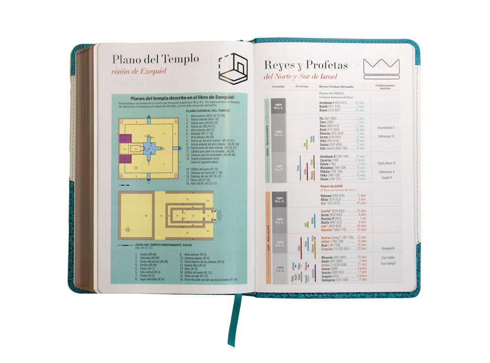 Biblia RVR60 Tamaño Manual Letra Grande i/piel TURQUESA/BLANCO -Tapa blanda