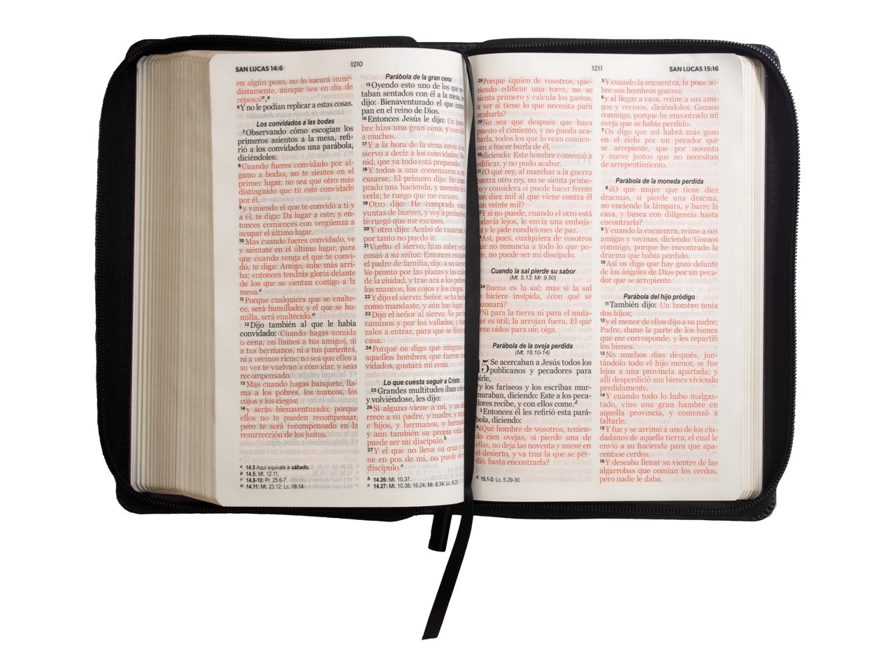 Biblia RVR60 Tamaño Manual Letra Grande imitación/piel Negro con cierre