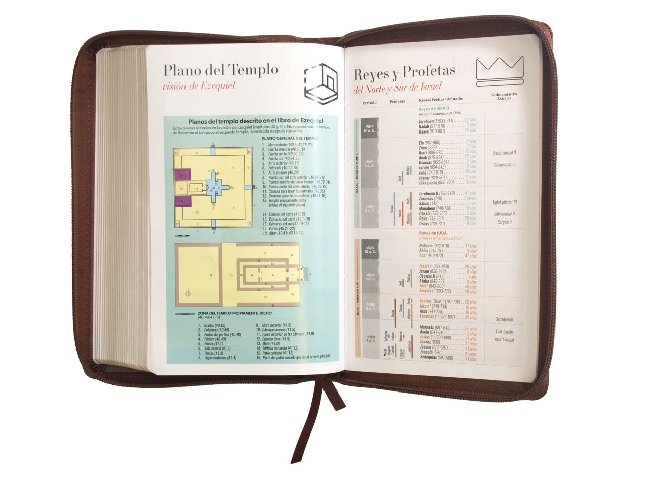 Biblia RVR60 Tamaño Manual Letra Grande i/piel CAFÉ con cierre Tapa blanda