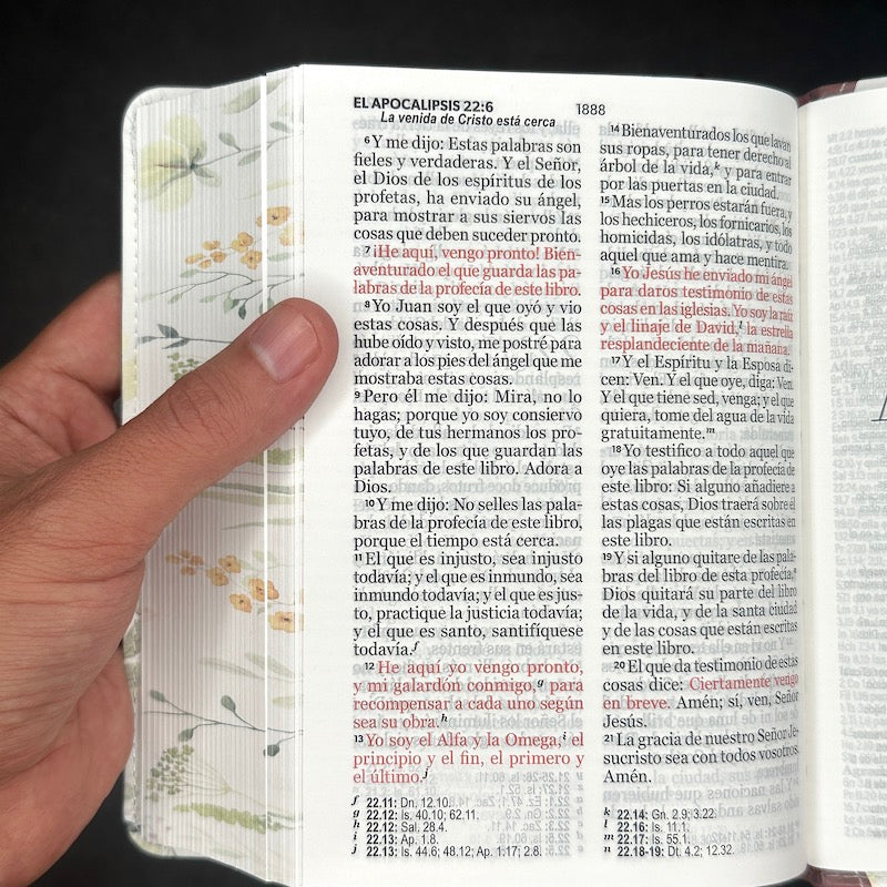 Biblia RVR60 portátil Letra Grande 11 puntos imitación/piel canto pintado MARRÓN FLORAL- Tapa blanda