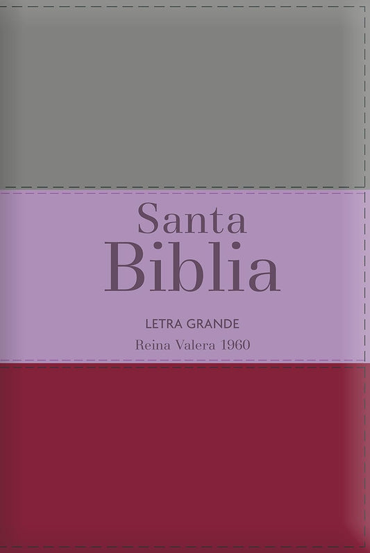 Biblia RVR60 Letra Grande – Tamaño manual / Tricolor: marrón/lila/violeta con indice y cierre