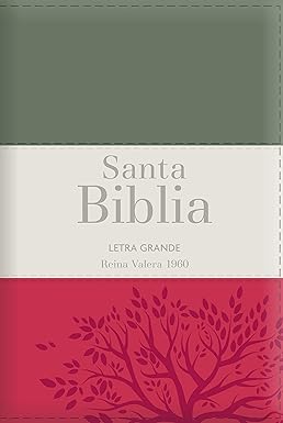 Biblia RVR 1960 Letra Grande Tamaño Manual Tricolor Gris Crema Rojo con Cierre con Índice Imitation Leather- Tapa blanda