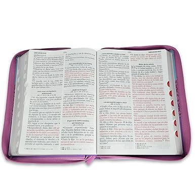 Biblia para Mujeres con Cierre Letra Gigante 15 puntos RV1960 imit piel tricolor celeste/rosa/lila con indice