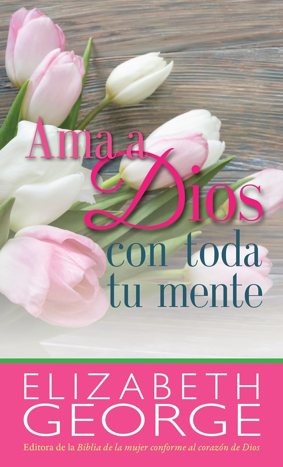 Ama a Dios/toda/mente-bolsillo- Tapa blanda