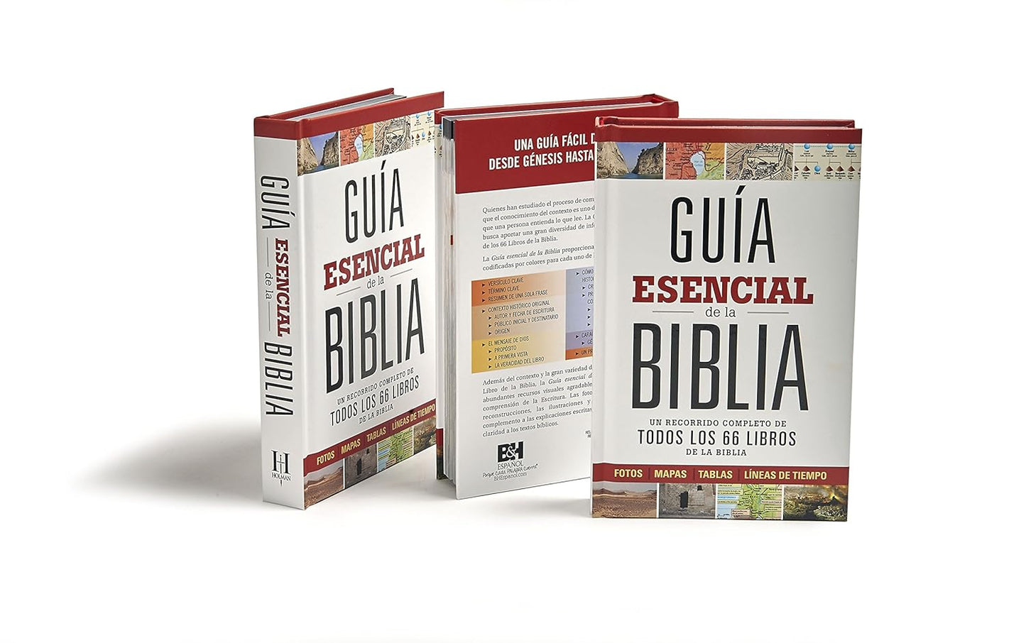 Guía esencial de la Biblia Tapa dura