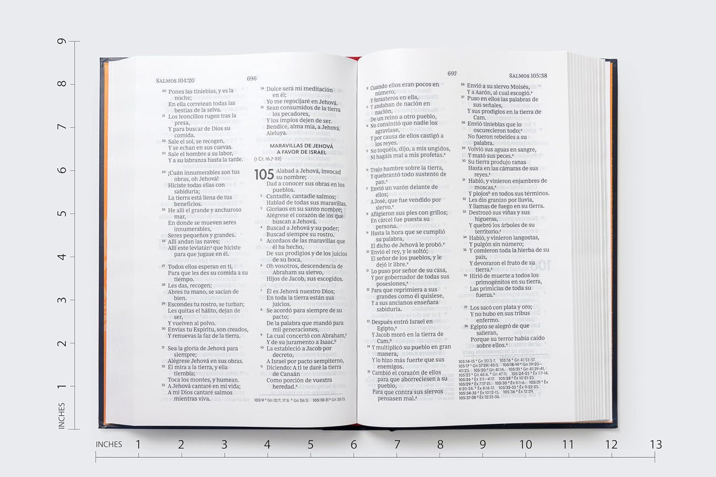 RVR60, Santa Biblia, Premio y Regalo, Letra grande, Tapa dura, Isaías 53, Palabras de Jesús en Rojo- Tapa Dura