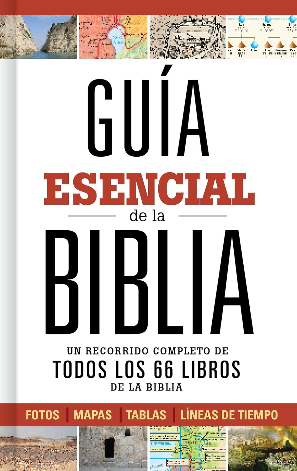 Guía esencial de la Biblia Tapa dura