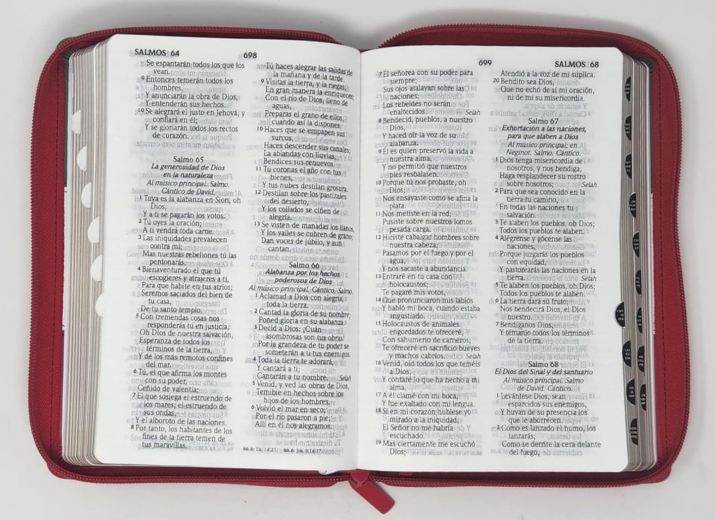 Biblia RVR 1960 Letra Grande Tamaño Manual Tricolor Gris Crema Rojo con Cierre con Índice Imitation Leather- Tapa blanda