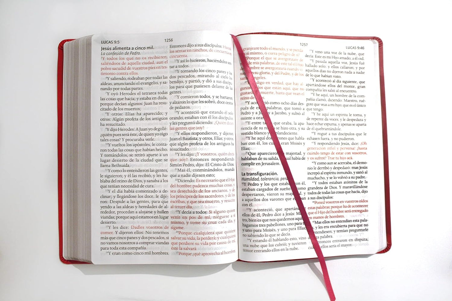 Biblia Letra Súper Gigante, símil piel fucsia RV1909 - Tapa blanda