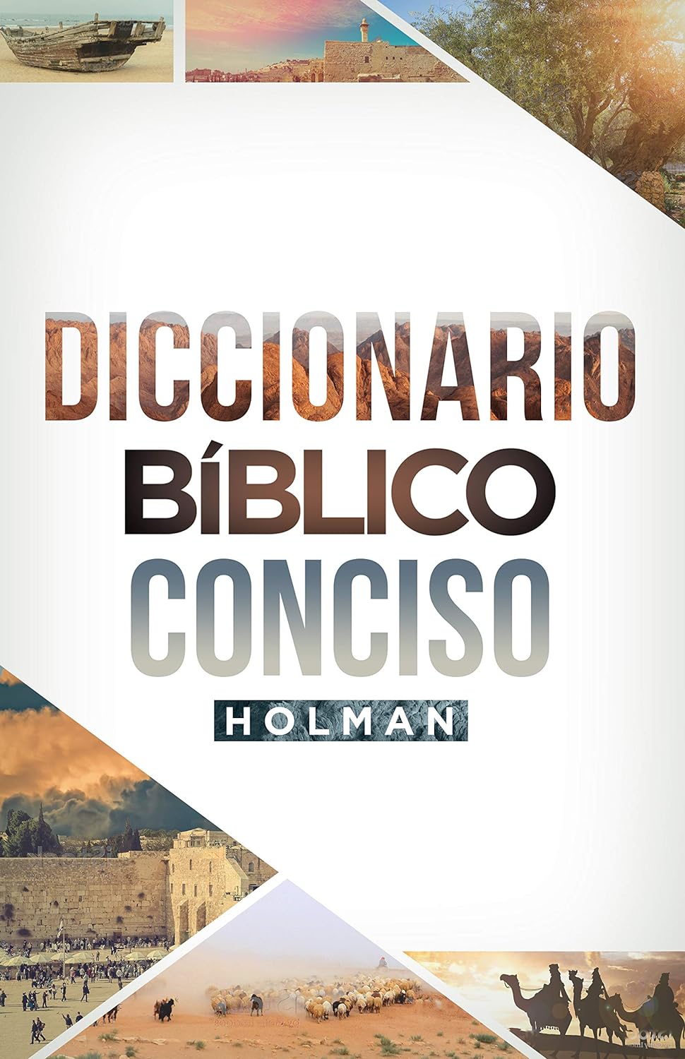 Diccionario Bíblico Conciso Holman Tapa dura