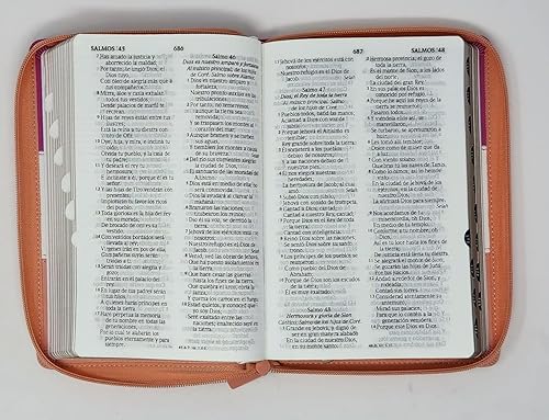 Biblia RVR 1960 Letra Grande Tamaño Manual Tricolor Guinda Crema Melón con Cierre con Índice Imitation Leather- Tapa blanda