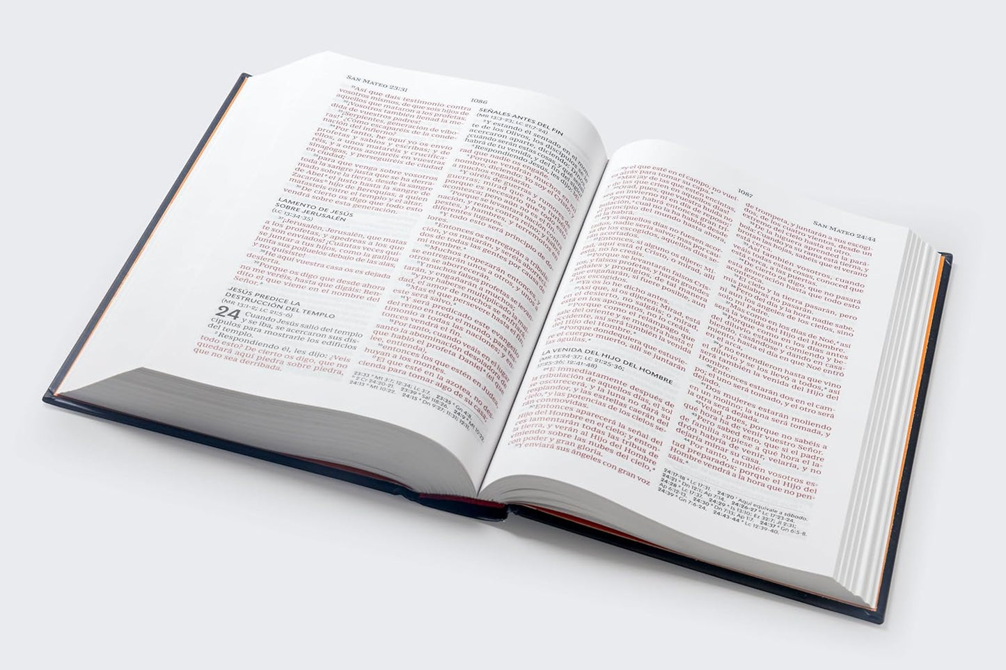 RVR60, Santa Biblia, Premio y Regalo, Letra grande, Tapa dura, Isaías 53, Palabras de Jesús en Rojo- Tapa Dura