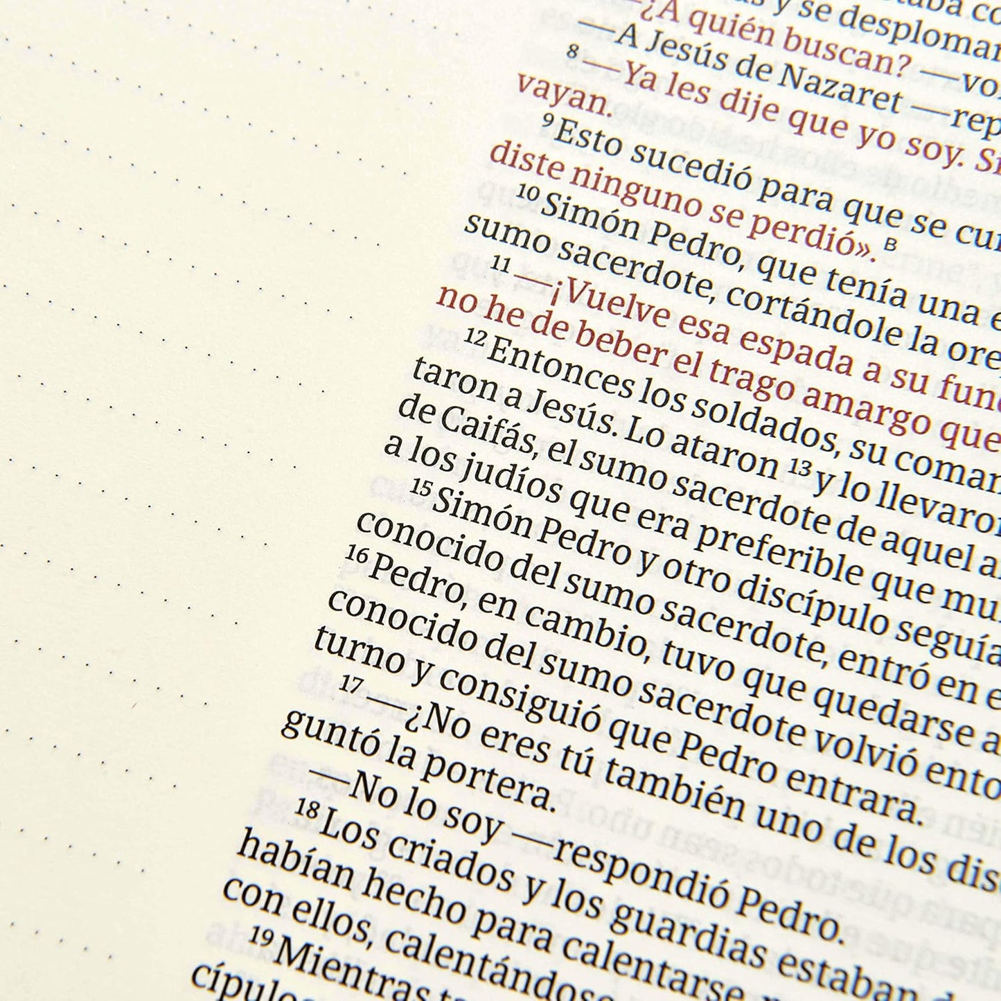 NVI Biblia de apuntes, blanco y azul símil piel (Spanish Edition) Imitation Leather