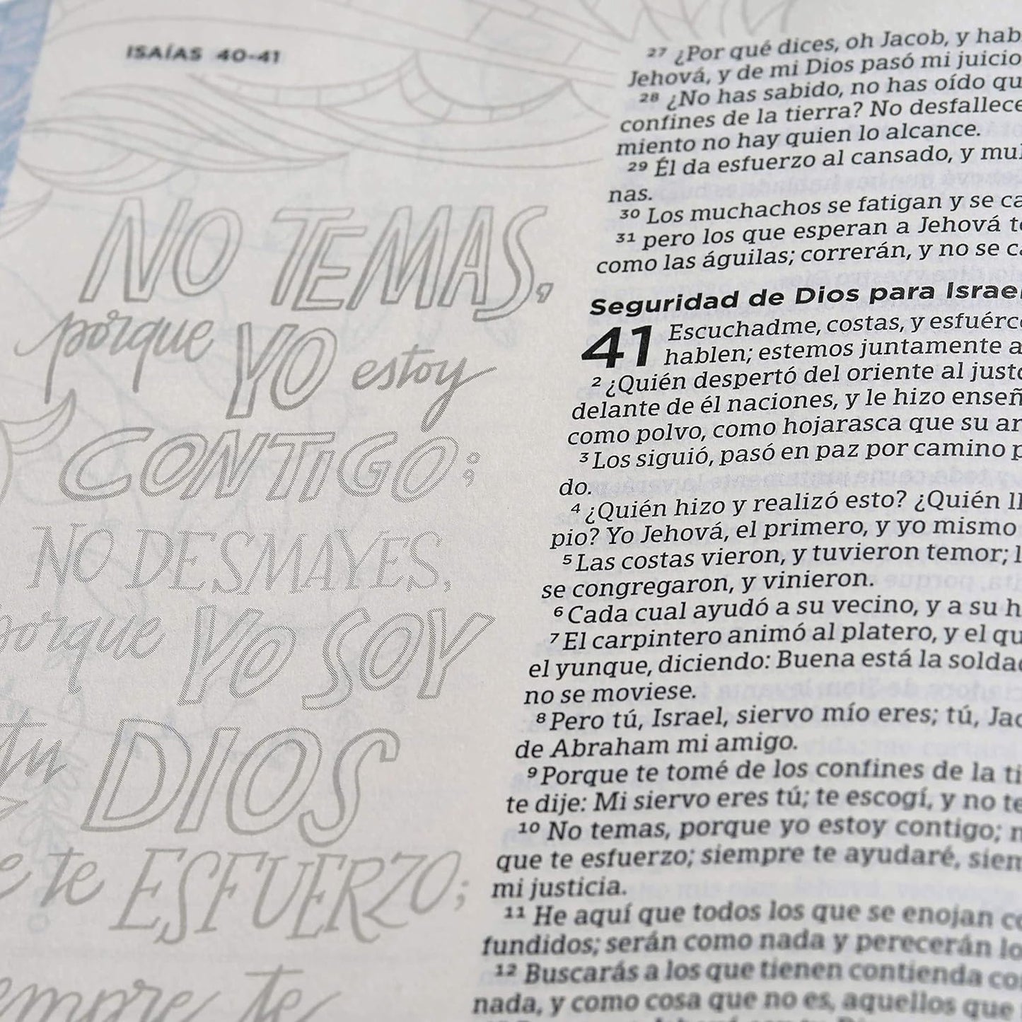 Biblia Reina Valera 1960 de Apuntes, Edición ilustrada. Tela en rosado y azul