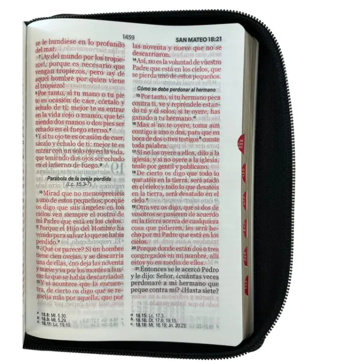 Biblia Reina Valera 1960 tamaño portátil Letra Grande 11 puntos. Imitación Piel negro/negro. Cierre e índice.