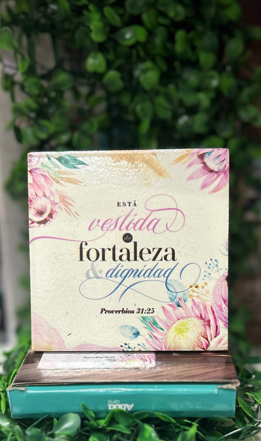 Placa Ceramica