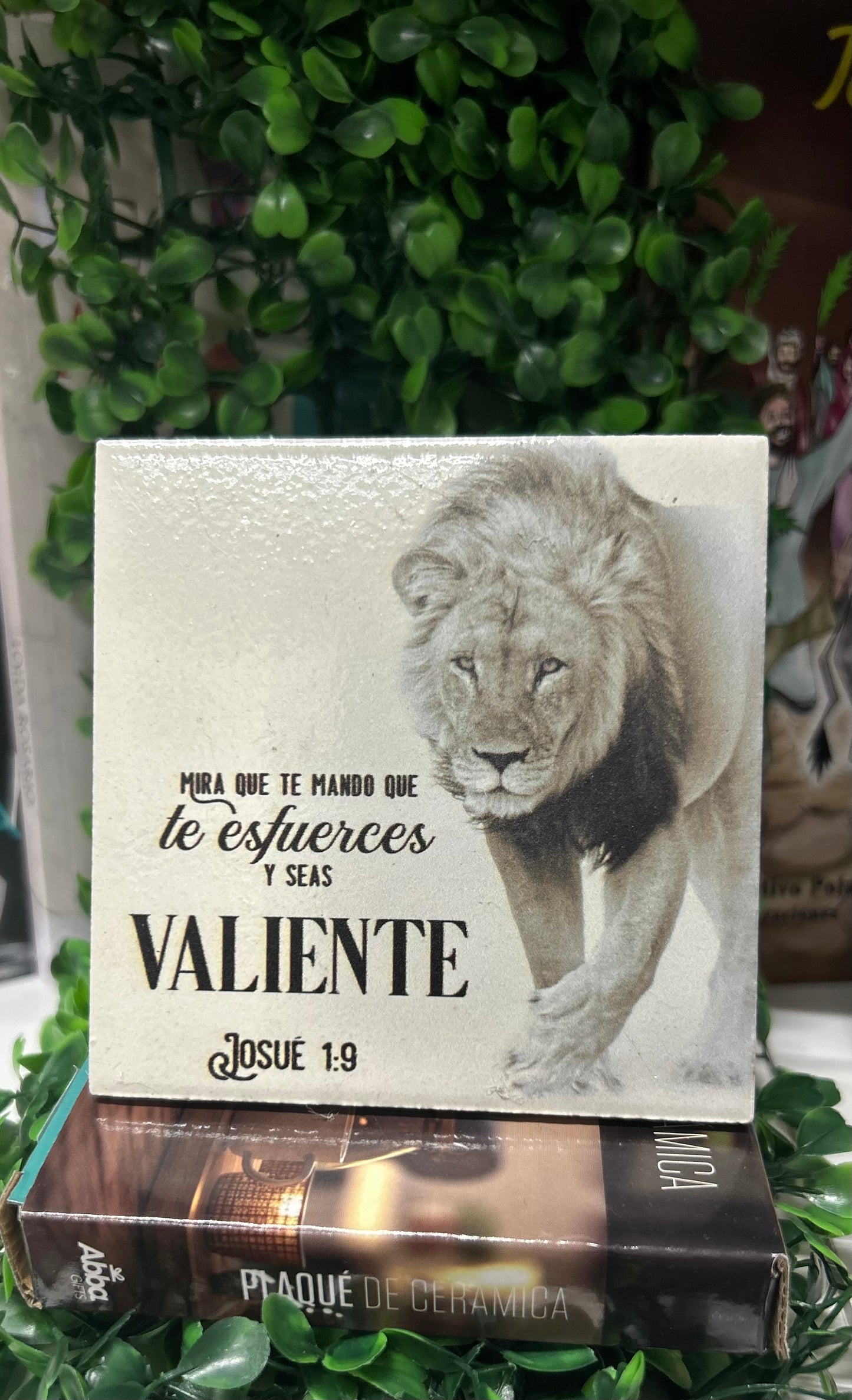 Placa Ceramica