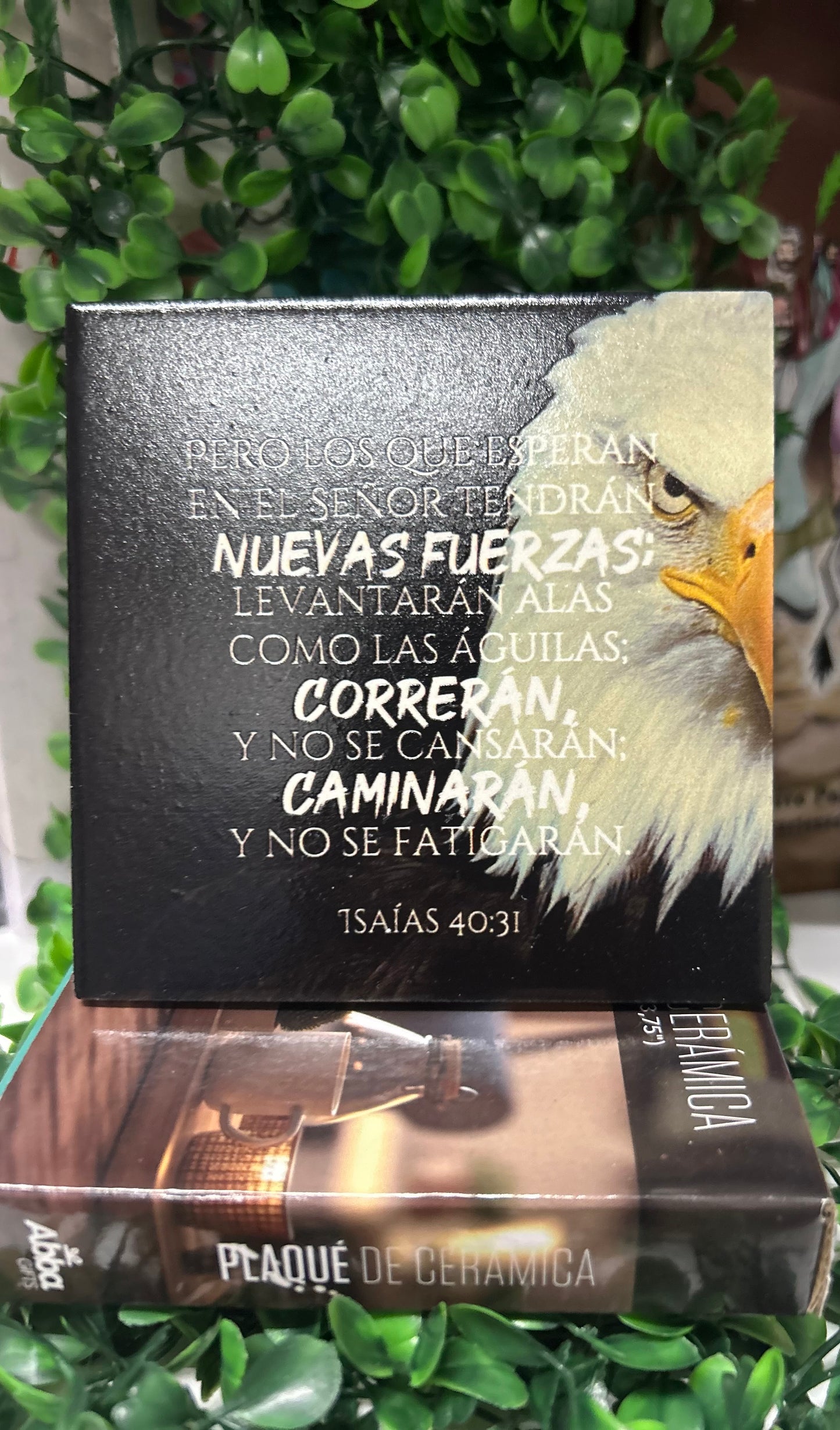 Placa Ceramica
