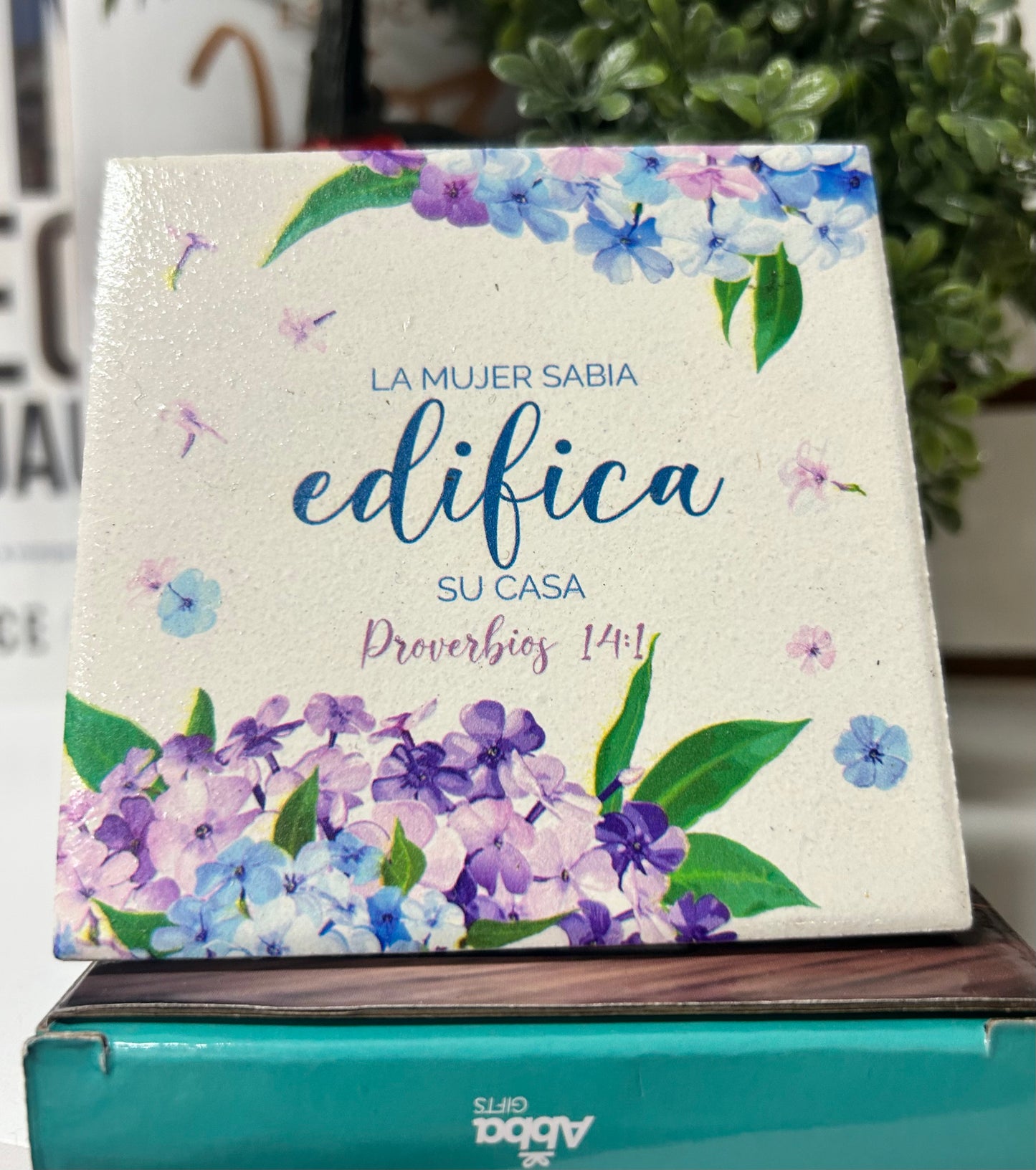 Placa Ceramica