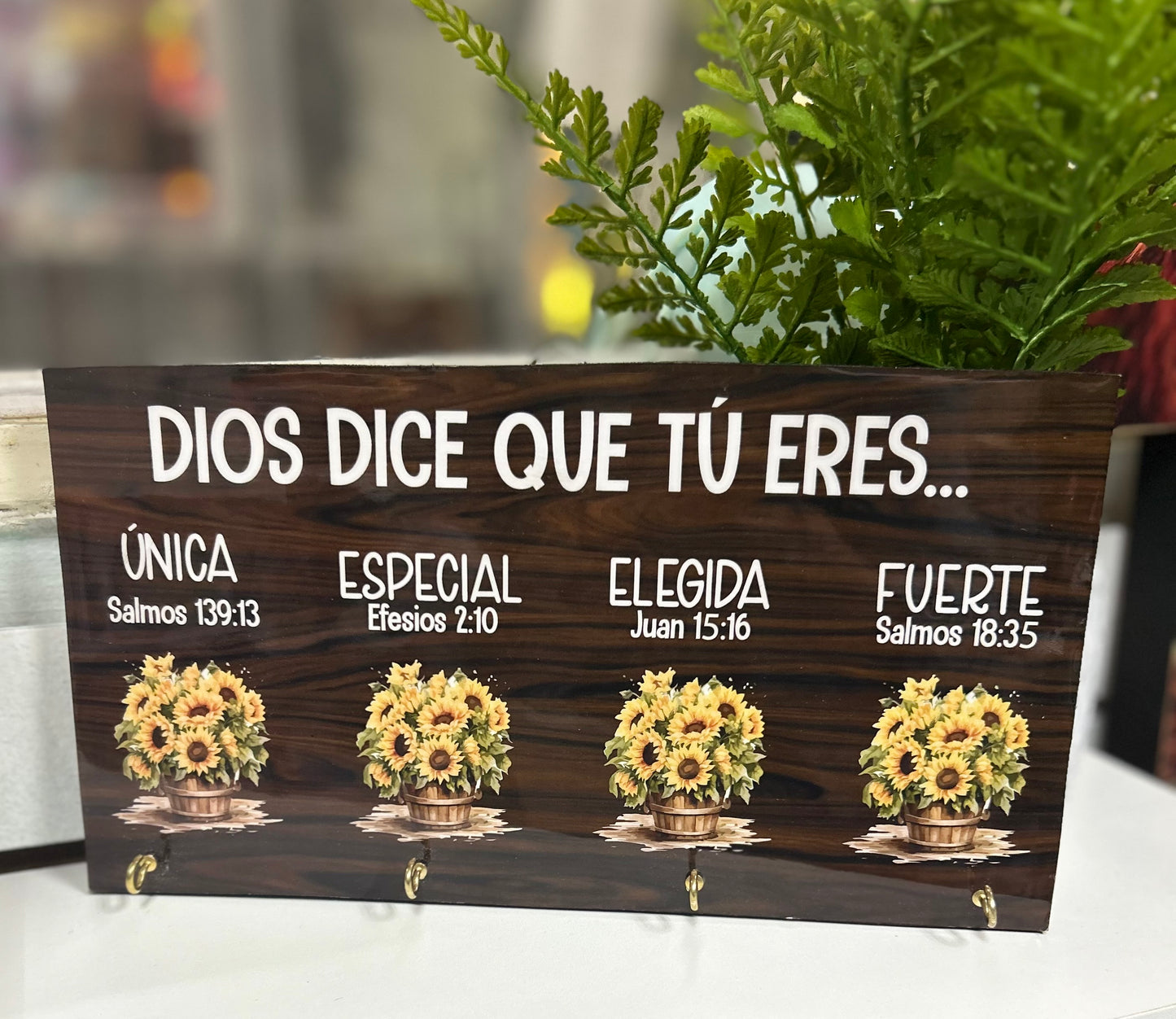 Cuelgallaves Variedad