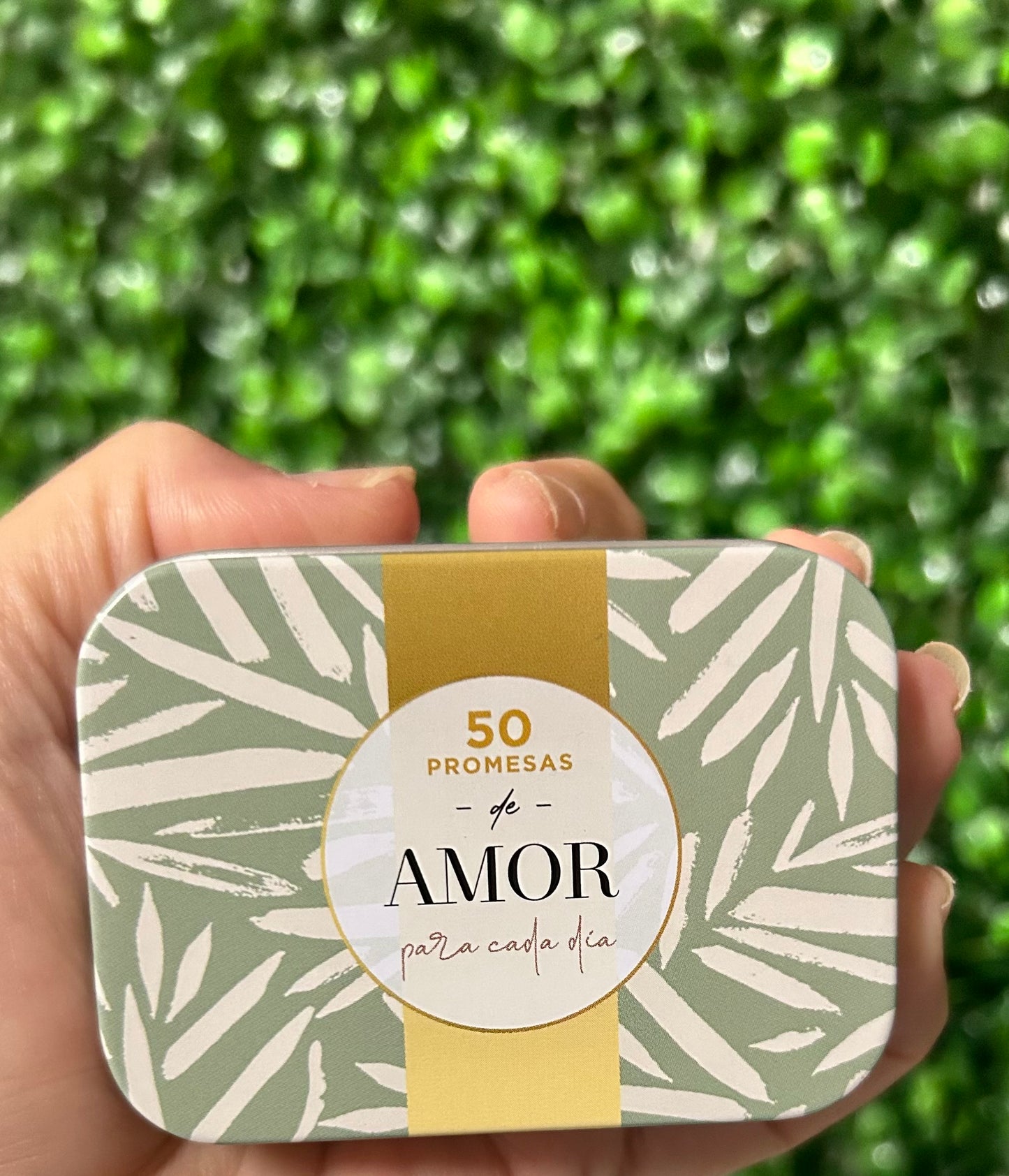 Variedad de Promesas