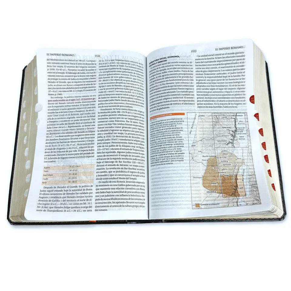 Biblia de Estudio Teológico RV1960 Tamaño personal